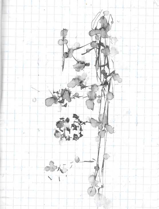 Tavola 073 · disegno originale