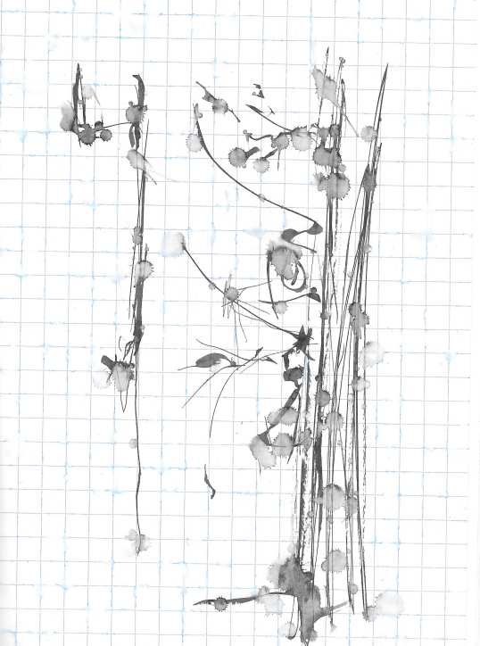 Tavola 074 · disegno originale
