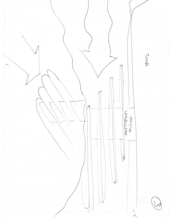 Tavola 185 · disegno originale