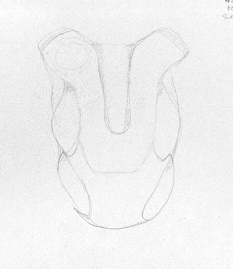 Studi di moto · pianta · Originale